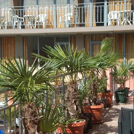 Hotel Tia Maria
